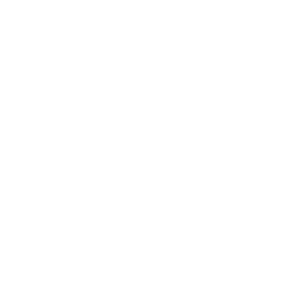 FIT Icons App Cloud Funktionen weiss